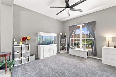 17919 Ayrshire Boulevard, Land O Lakes FL - photo 11 of 78