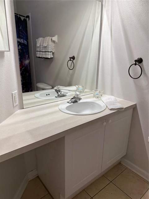 8105 Sun Palm Drive, Kissimmee FL - photo 6 of 17