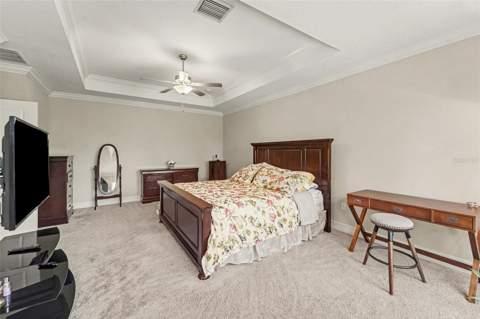 21590 Violet Periwinkle Drive, Land O Lakes FL - photo 24 of 50