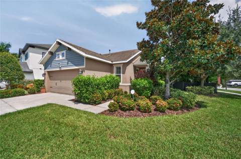 6511 Salt Creek Avenue, Apollo Beach FL - photo 7 of 94
