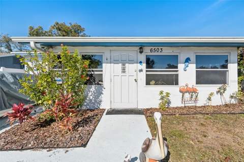 6503 Amundson Court, Tampa FL - photo 8 of 71