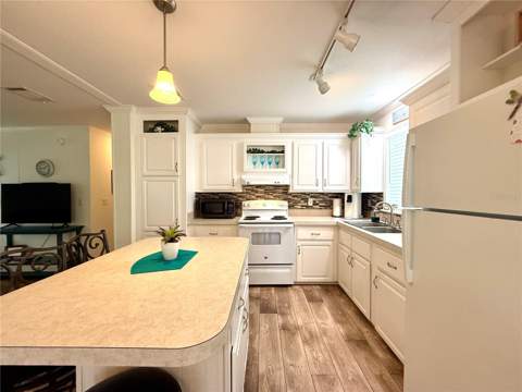 260 S Port Royal Lane, Apollo Beach FL - photo 7 of 19