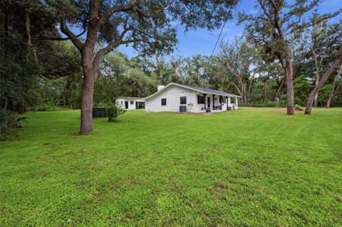 1095 S Ridgewood Avenue, Deland FL - photo 10 of 32