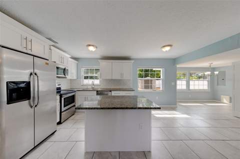 1309 Mary L Road, Clearwater FL - photo 9 of 38