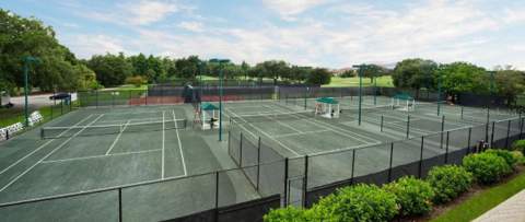 1610 Sandhill Court, Palm Harbor FL - photo 16 of 20