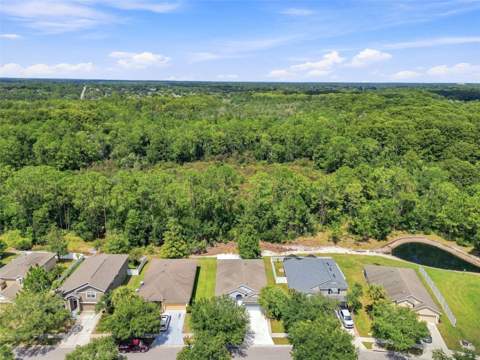 12118 Colony Lakes Boulevard, New Port Richey FL - photo 17 of 18