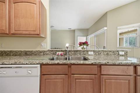 5600 Sir Barton Court, Wesley Chapel FL - photo 16 of 55