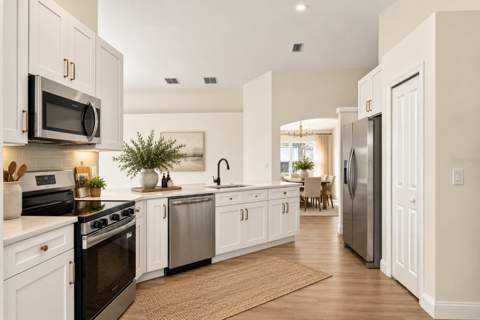 17413 Cricket Chirp Loop, Land O Lakes FL - photo 7 of 44
