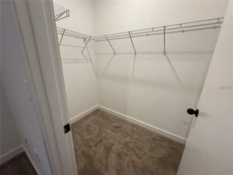 3243 Sustainable Way, Kissimmee FL - photo 13 of 28