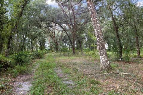 935 CR 738E, Webster FL - photo 6 of 6