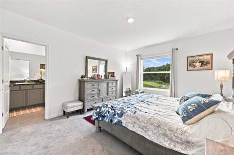 32898 Pez Landing Lane, Wesley Chapel FL - photo 20 of 35