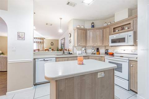 37349 Gill Avenue, Zephyrhills FL - photo 13 of 58
