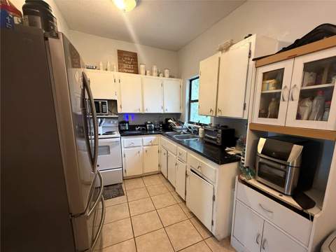 1435 Triangle Drive, Mount Dora FL - photo 7 of 18