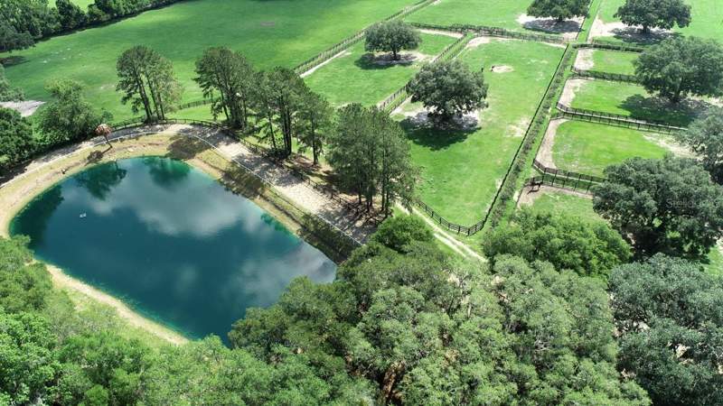3 bedroom Farm at 13450 NW Gainesville Road, Mefferet Farm Development, Reddick — photo 5