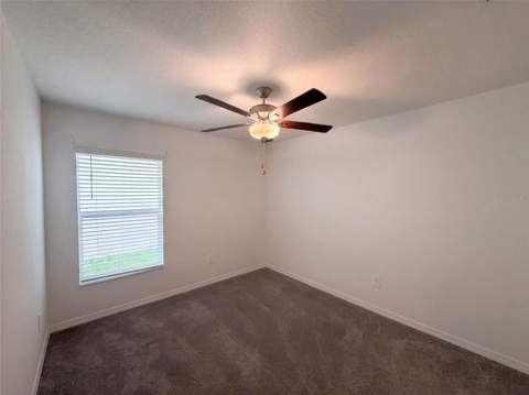 3513 Radiant Mountain Drive, Plant City FL - photo 12 of 17