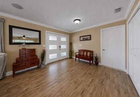 6301 Cottonwood Lane, Apollo Beach FL - photo 11 of 53