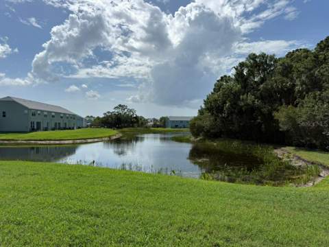 11537 Declaration Drive, Tampa FL - photo 23 of 24