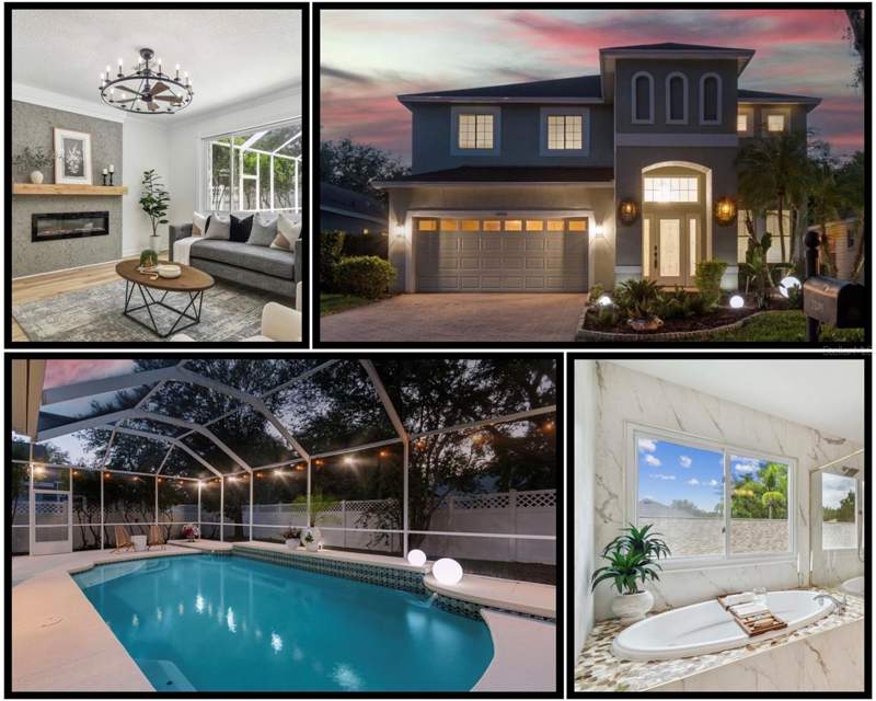Tampa Palms Area