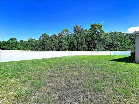 18607 Briar Oaks Drive, Hudson FL - photo 9 of 64