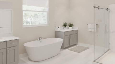 21673 Snowy Orchid Terrace, Land O Lakes FL - photo 18 of 25