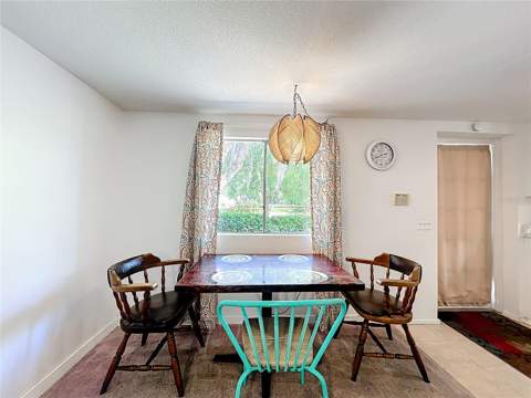 1338 Saint Nicholas Avenue, Christmas FL - photo 14 of 47