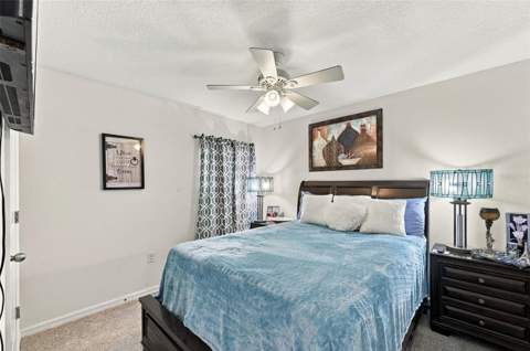 588 Olive Conch Street, Ruskin FL - photo 18 of 31