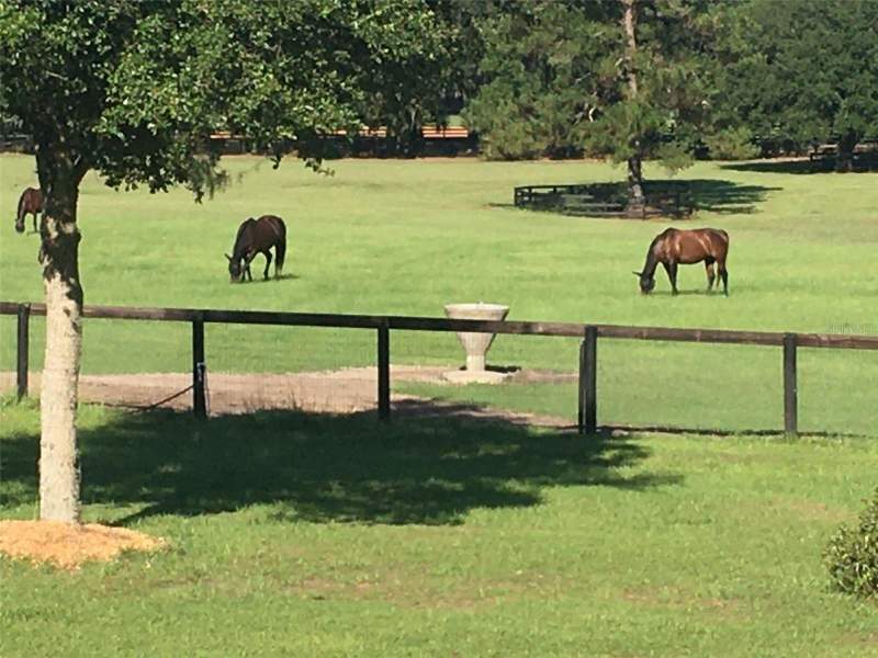 2 bedroom Farm at 9549 NW 80th Avenue, Acreage Non-Subdivision, Ocala — photo 5