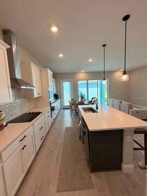 16968 Hamlin Oasis Loop, Winter Garden FL - photo 12 of 35