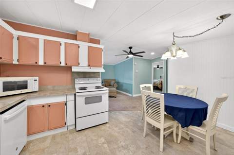 516 Jason Drive, Lady Lake FL - photo 17 of 31