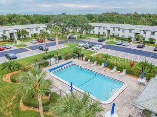 104 E Cypress Court #104, Oldsmar FL - photo 24 of 25