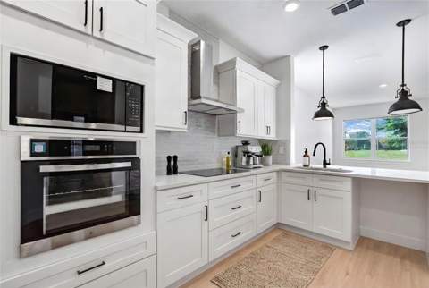 435 E 13th Street, Apopka FL - photo 9 of 39