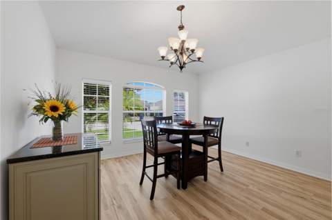 19406 Sunset Bay Drive, Land O Lakes FL - photo 12 of 48