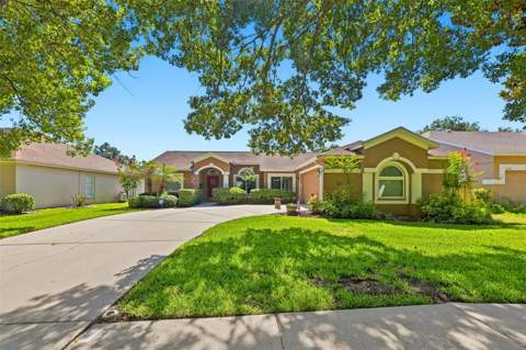 3720 Treeline Drive, Valrico FL - photo 6 of 6