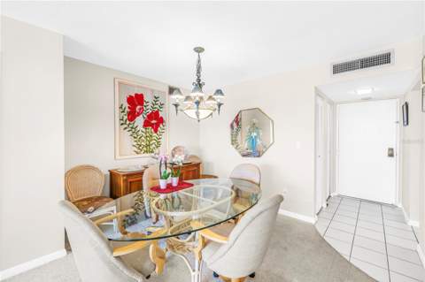 5220 Brittany Drive #1204, St Petersburg FL - photo 23 of 58