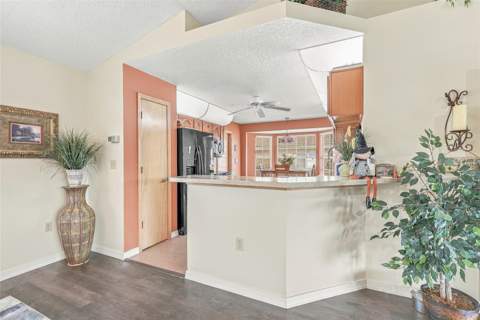 8218 Spanish Oak Drive, Spring Hill FL - photo 16 of 50