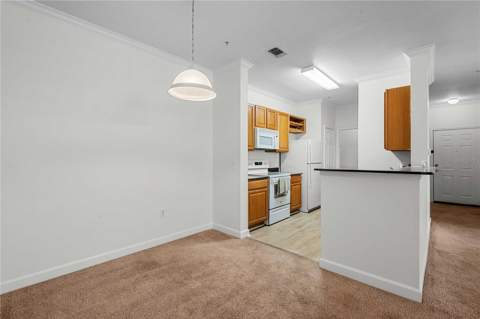 18525 Bridle Club Drive #18525, Tampa FL - photo 17 of 38