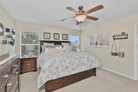 8718 Turnstone Haven Place, Tampa FL - photo 19 of 38