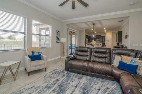 8099 Lago Mist Way, Wesley Chapel FL - photo 13 of 56