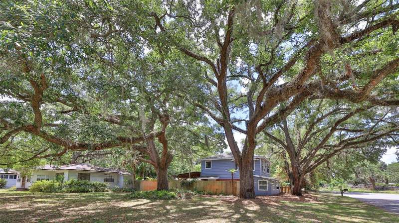 3 bedroom Single Family Residence at 801 E 20th Street, Magnolia Heights, Sanford — photo 4