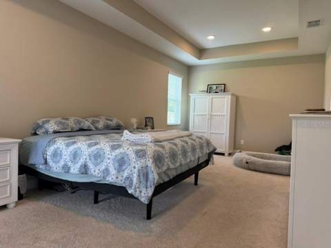 7749 Bronze Oak Drive, Wesley Chapel FL - photo 21 of 38