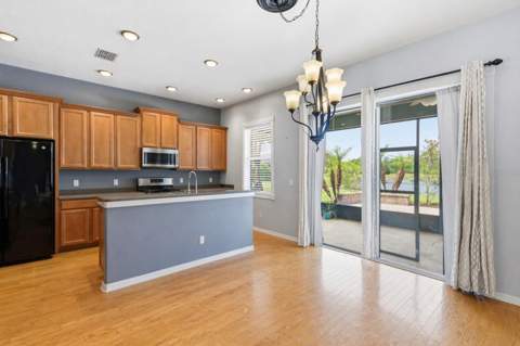 20629 Wild Plum Court, Land O Lakes FL - photo 17 of 89