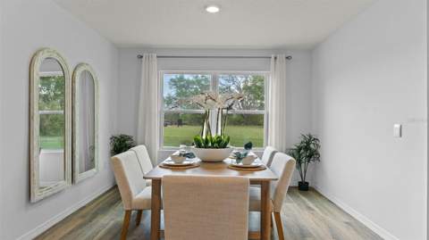 3198 Grey Moss Drive, St Cloud FL - photo 9 of 61