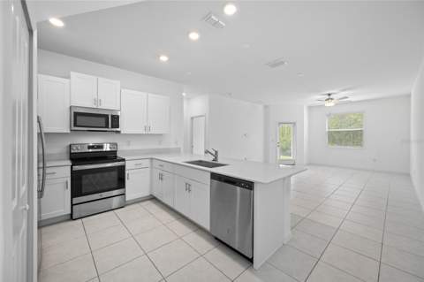 17734 Nectar Flume Drive, Land O Lakes FL - photo 8 of 27