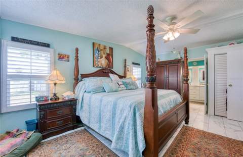 214 Dolphin Drive, Oldsmar FL - photo 15 of 46