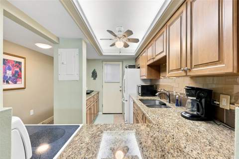 1 Boca Ciega Point Boulevard #316, St Petersburg FL - photo 14 of 29