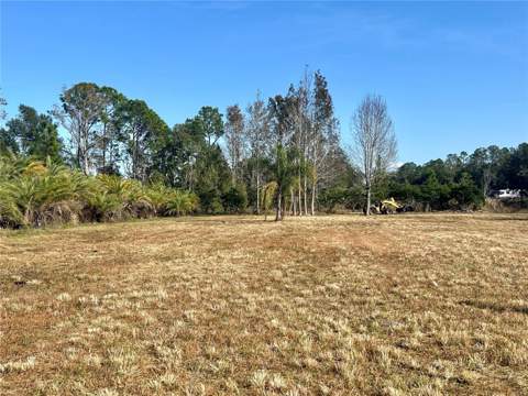 12714 State Road 33, Groveland FL - photo 17 of 22