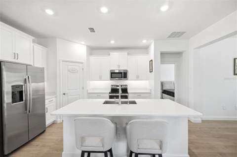 9776 Minnow Ray Drive, Land O Lakes FL - photo 14 of 44