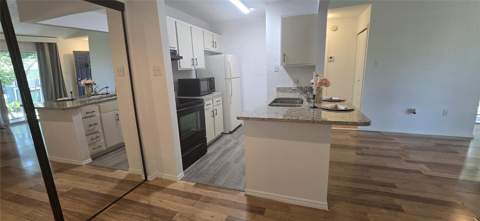 3831 Nautical Way #203, Kissimmee FL - photo 11 of 33