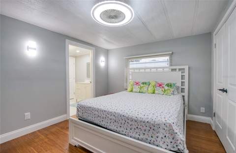 407 Dolphin Drive, Oldsmar FL - photo 18 of 34
