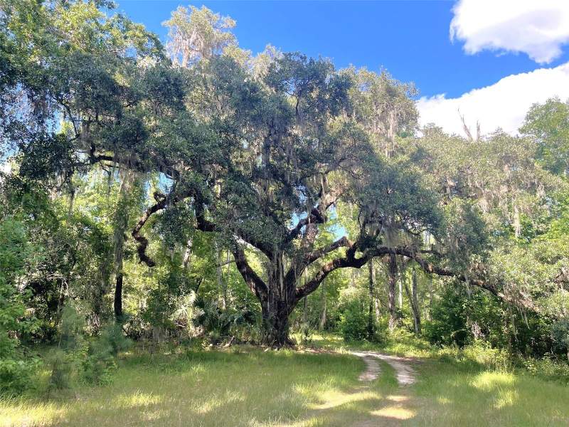 4 bedroom Manufactured Home at 11804 SE County Road 234, Micanopy, Micanopy — photo 3